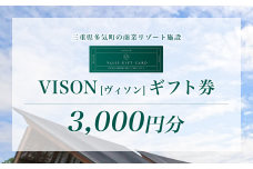 VT-01　日本最大級の商業リゾート施設　VISON [ ヴィソン ] ギフト券 （3,000円）