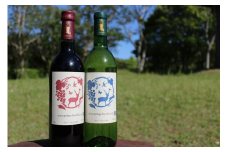 012L001 丹波ワイン 飲み比べ 赤・白 2本セット 京都丹波高原国定公園限定ラベル