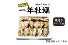  牡蠣 坂越かき 殻付き (25個～30個) 冬牡蠣