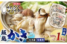 牡蠣 生食 坂越かき むき身 500g×2(サムライオイスター) 生牡蠣 冬牡蠣