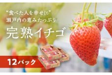 【2024年2月上旬より出荷】“食べた人を幸せに” 瀬戸内の恵みたっぷり完熟イチゴ (12パック)