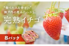 【2024年2月上旬より出荷】“食べた人を幸せに” 瀬戸内の恵みたっぷり完熟イチゴ (8パック)