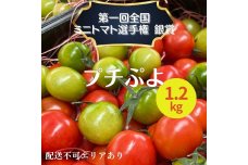  ミニトマト プチぷよ 1.2kg 第一回全国 ミニトマト 選手権銀賞