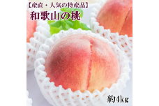 ZD6398_【先行予約】【産直・人気果物】和歌山の桃 4kg・秀選品