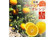 ZT6246_国産 バレンシアオレンジ 【訳あり 家庭用】 5kg S～3Lサイズ