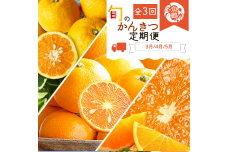 G60-T33_【定期便 全3回】紀州和歌山産旬の柑橘セット（清見・なつみ・甘夏）