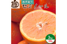 ZH7014_＜4月より発送＞家庭用 セミノールオレンジ3kg+90g（傷み補償分）（有田産）（訳あり）
