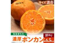 （先行予約）（極甘柑橘）有田育ちの 濃厚 ポンカン （訳あり 家庭用）6.5kg