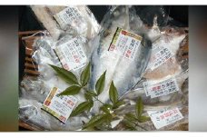 ZD6178n_和歌山の近海でとれた新鮮魚の鯛入り梅塩干物と湯浅醤油みりん干し7品種11尾入りの詰め合わせ