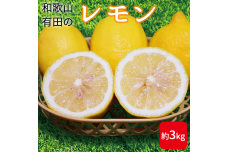ZE6382n_【先行予約】和歌山県産 有田の 檸檬 ( レモン ) 3kg【まごころ手選別】