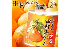 AY6003n_田村みかん 缶詰 12缶セット