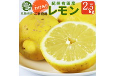 G7069_【先行予約】【ご家庭用 訳あり】紀州有田産レモン 2.5kg