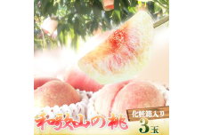 G7081_【先行予約】紀州和歌山産の 桃 3玉 化粧箱入