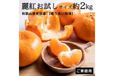 CE6106n_【香り高い柑橘】和歌山県有田産 麗紅 お試しサイズ 約2kg【訳あり 家庭用】