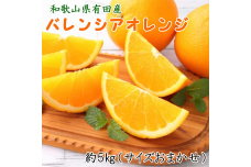 ZD6372n_和歌山県有田産 バレンシアオレンジ 5kg (サイズおまかせ)
