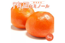 AN6110n_【先行予約】和歌山有田産 セミノールオレンジ【訳あり家庭用】5kg(M～3Lサイズ混合)