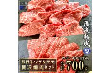 BS6208_湯浅熟成 熊野牛 ウデ&モモ贅沢焼肉セット 700g