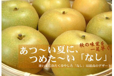 V7255_【先行予約】和歌山の梨（なし）豊水品種 約４kg【秀品：サイズおまかせ】