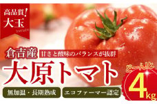 大原トマト【倉吉産】 トマト 甘い 人気 4kg とまと 野菜 サラダ 鳥取県 倉吉市