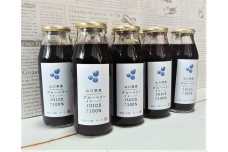 山口県産ブルーベリーミックスジュース（８本セット）