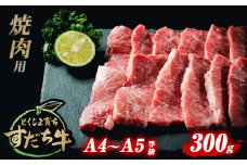 すだち牛 黒毛和牛 （ 焼き肉用 ） 300g 国産 牛肉 焼き肉 焼肉 赤身 冷凍 お肉 肉 ブランド 和牛 霜降り カット 小分け 人気 10000円