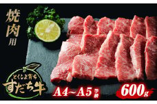 すだち牛 黒毛和牛 （ 焼き肉用 ） 600g 国産 牛肉 焼き肉 焼肉 赤身 冷凍 お肉 肉 ブランド 和牛 霜降り カット 小分け 人気