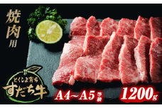 すだち牛 黒毛和牛 （ 焼き肉用 ） 1.2kg 国産 牛肉 焼き肉 焼肉 赤身 冷凍 お肉 肉 ブランド 和牛 霜降り カット 小分け 人気