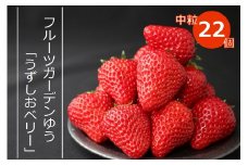【2024年1月以降順次発送・予約受付中】フルーツガーデンゆうのイチゴ「うずしおベリー」中粒22個