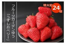 【2024年1月以降順次発送・予約受付中】フルーツガーデンゆうのイチゴ「うずしおベリー」特大粒24個