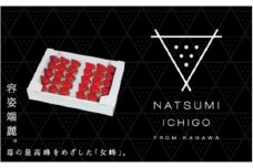 591　NATSUMI　ICHIGO　女峰　プレミアムBOX【2023年12月配送】