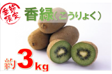 981　香川県オリジナルキウイフルーツ「香緑」約3kg【香川県共通返礼品】