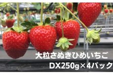大粒さぬきひめいちご　DX250g×4パック