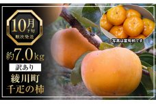 全国でも有名な「綾川町産千疋の柿」訳ありサイズ混合 約7.0kg