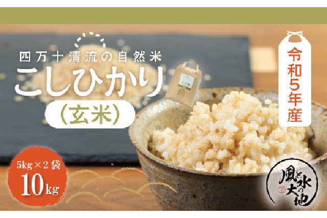 ひのひかり 2023 10月 とれたて新米 30kg玄米とっても美味しいお米です