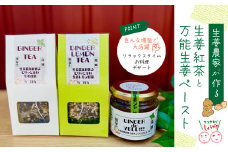 R5-745．生姜農家が作った四万十市産万能生姜ペースト＆生姜紅茶セット