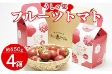 うしの恵 フルーツトマト4箱(650g×4) - 野菜 フルーツトマト トマト とまと 産地直送 ギフト mj-0011