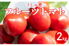 うしの恵フルーツトマト2kg - 野菜 フルーツトマト とまと 産地直送 完熟トマト mj-0009