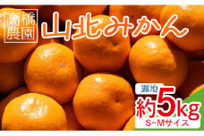 高橋農園 山北みかん5kg(露地・Ｓ～Ｍ)ギフト用 - 果物 フルーツ 柑橘 みかん th-0008