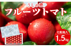 うしの恵フルーツトマト化粧箱入1.5kg - 野菜 期間限定 フルーツトマト トマト とまと 産地直送 完熟トマト mj-0010