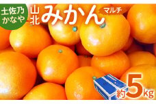 土佐乃かなや マルチ 山北みかん5kg - 柑橘 ミカン 果物 フルーツ be-0017