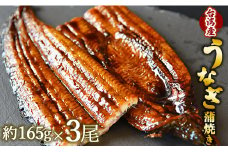 フジ物産 養殖うなぎ蒲焼き 約165g×3尾(台湾産鰻) fb-0015