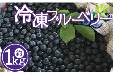 冷凍ブルーベリー 1kg - ブルベリー 国産 フルーツ 冷凍フルーツ 果物 自然栽培 ヨーグルト ジュース 新鮮無農薬 朝採れ 新鮮 eh-0031