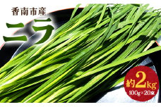 生産量日本一香南市のニラ 2kg - ニラ 香南市産 にら 朝採れ 産地直送 香味野菜 ニラ on-0011