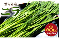 生産量日本一香南市のニラ 3kg - ニラ 香南市産 にら 朝採れ 産地直送 香味野菜 ニラ on-0012