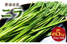 生産量日本一香南市のニラ 5kg - ニラ香南市産 にら 朝採れ 産地直送 香味野菜 ニラ on-0014