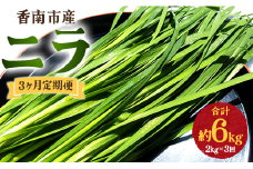 生産量日本一香南市のニラ 2kg 3ヶ月定期便 合計6kg - ニラ 香南市産 にら 朝採れ 産地直送 香味野菜 ニラ Won-0017