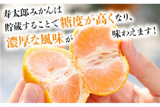 ふるさと納税 「間城農園 甘い完熟みかん 寿太郎 4kg - フルーツ 果物