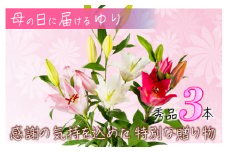 母の日に日頃の感謝を「花束」に込めて。【オリエンタルリリー3本】 Osy-04