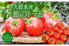 久留米産 季節のトマト2kg