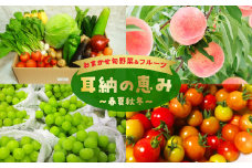 おまかせ旬野菜＆フルーツ　耳納の恵み　春夏秋冬２～10kg×2ケース　